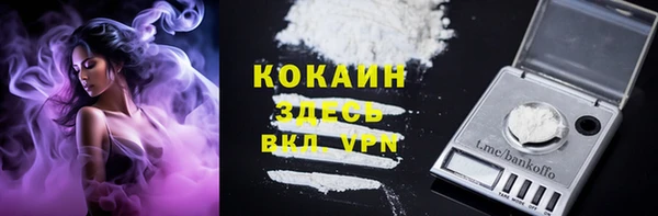apvp Вяземский