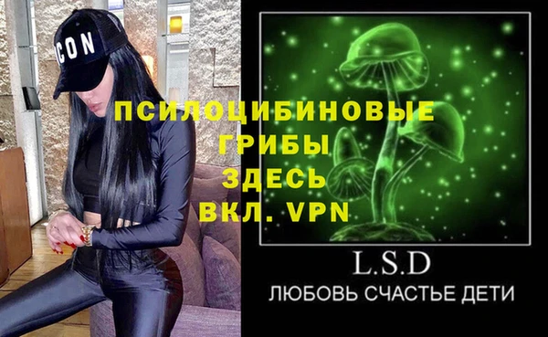 прущие грибы Красноперекопск
