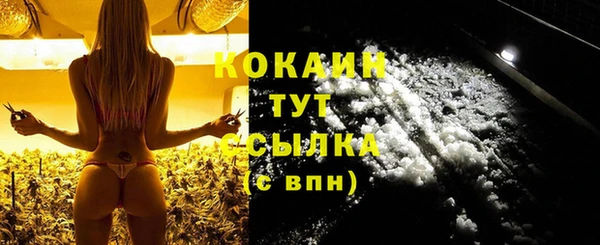 apvp Вяземский